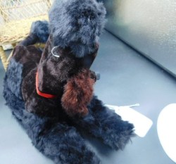 black poodle radio b